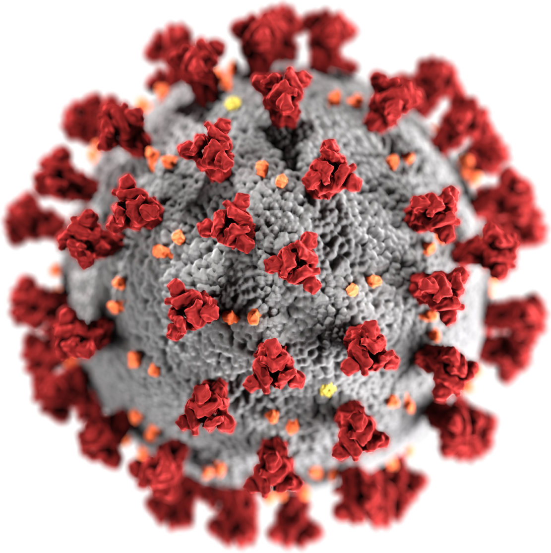 Coronavirus