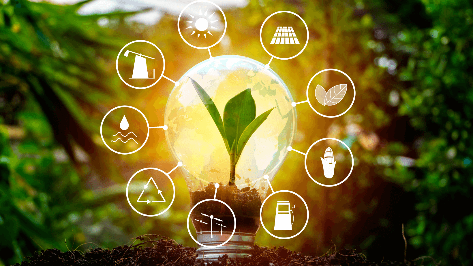 Energy and Environment